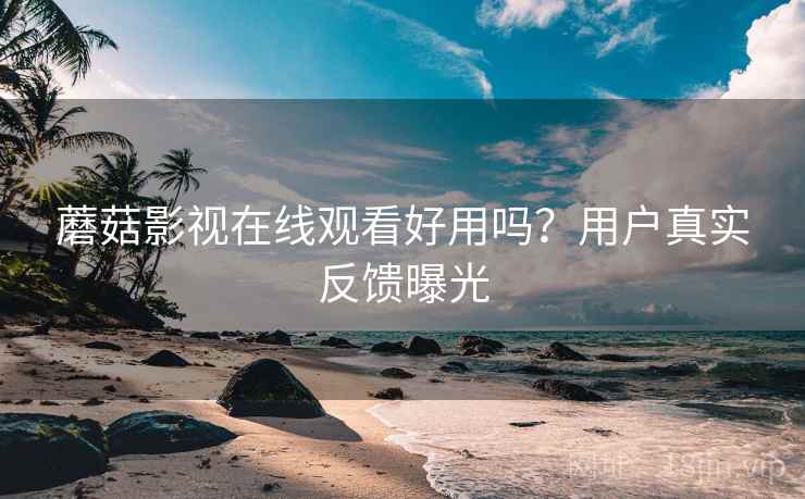 蘑菇影视在线观看好用吗？用户真实反馈曝光