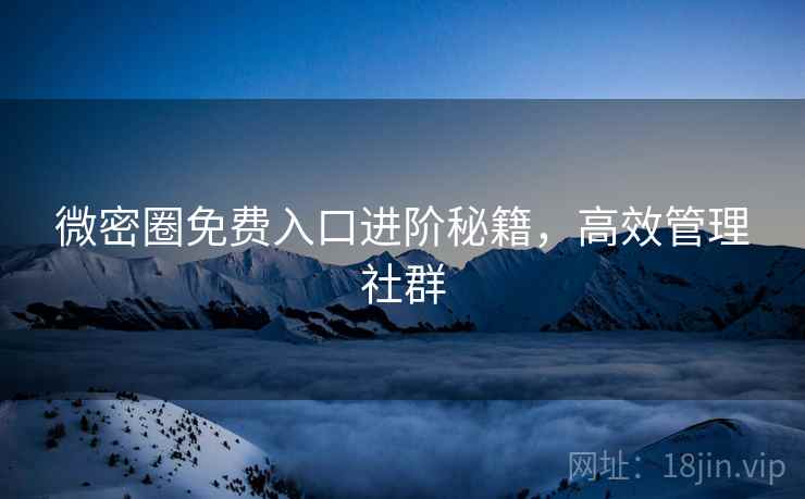 微密圈免费入口进阶秘籍，高效管理社群